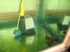 DSC01176.JPG