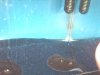 8wks2m.jpg