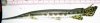 SPG-001--LOC-001.jpg