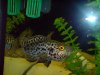 DSC00358.JPG