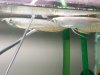100_0502.JPG