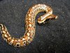 9snake.jpg