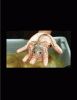 newbornray.gif newbornray.gif