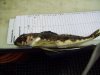 100_0396.JPG