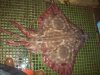 Alaskan Skate Fish 2.JPG