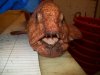 Bering Wolf Fish.JPG