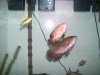 100_0527.JPG