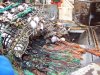 Dumping Cod.JPG