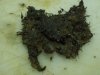 100_0266.JPG