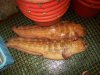 100_0290.JPG