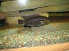 DSC00754.JPG