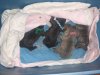Picture 278.jpg Picture 278.jpg