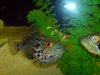 DSC00357.JPG