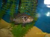 100_0617.jpg