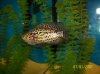 100_0619.jpg