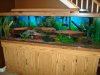DSC00776.JPG