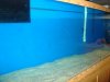 DSC00796.JPG