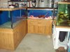 DSC00793.JPG