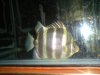 DSC00109.JPG