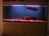DSCN4741.JPG