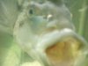 DSCF3353.JPG
