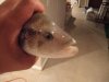 DSCF3547.JPG