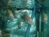 DSC01002.JPG