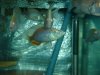 DSC01011.JPG