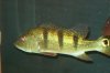 DSC03418.JPG