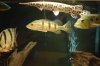 DSC03425.JPG
