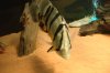 DSC03438.JPG