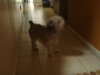 DSC01078.JPG
