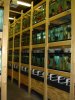DSC00865.JPG