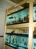 DSC00881.JPG