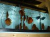 DSC00887.JPG