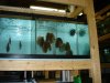 DSC00895.JPG