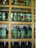 DSC00905.JPG
