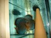 DSC00925.JPG