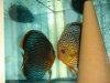 DSC00926.JPG