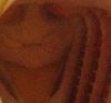 avatar gullet.jpg