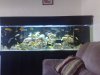 10072008296.jpg
