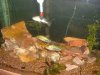 DSCF1118.JPG