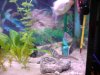 DSC00893.JPG