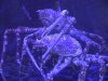 100_0252.jpg