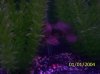 100_1351.JPG 100_1351.JPG