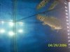 100_1360.JPG