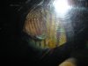 DSC00784.JPG