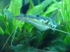 DSC00366.jpg
