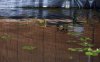 PoolSurface.jpg