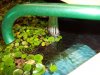 PoolJava.jpg